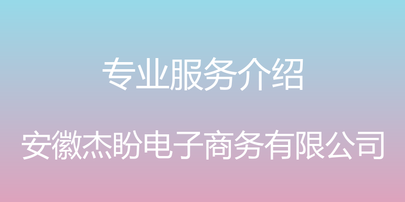 专业服务介绍 - 安徽杰盼电子商务有限公司