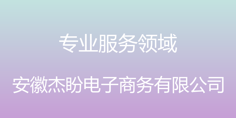 专业服务领域 - 安徽杰盼电子商务有限公司